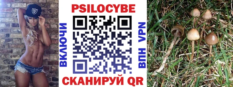 Галлюциногенные грибы Psilocybe  что такое   Кузнецк 